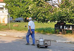 5 общини в Ловешка област обявяват бедствено положение заради сушата