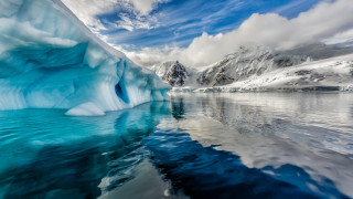Докато останалият свят продължава да се бори с пандемията на