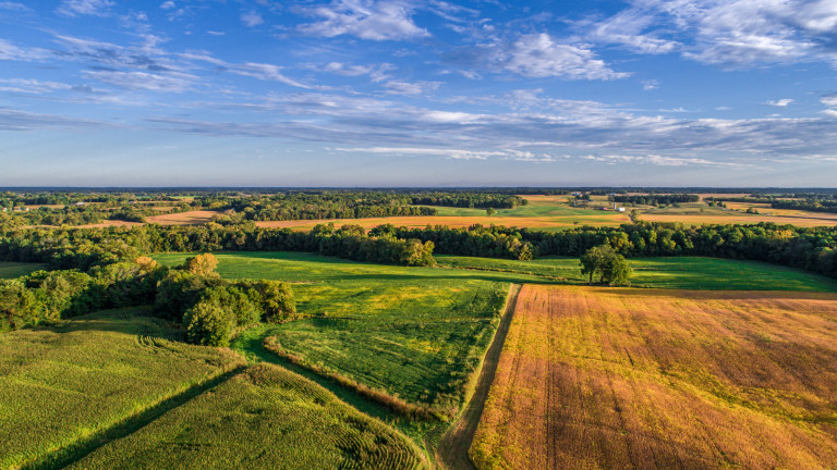 Годишните наеми на един хектар (10 декара) земеделска земя варират
