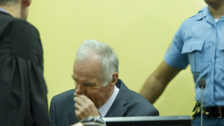Младич обратно в съда