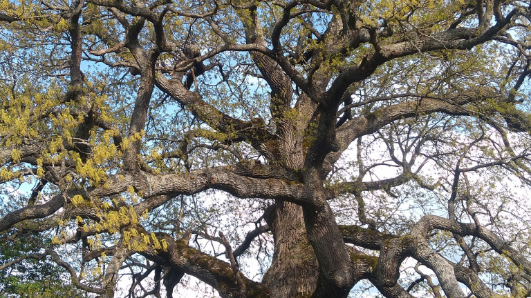 Изображение 402062