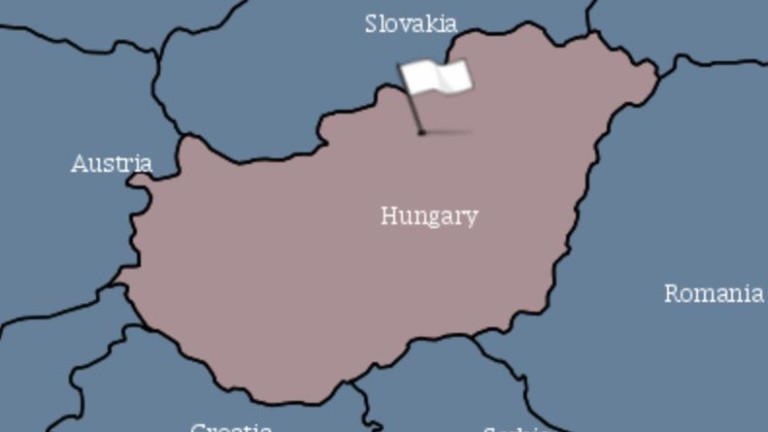 За случай на африканска чума по свинете в Унгария, предупреждават ловците