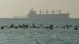  Съединени американски щати притискат Кипър да не транспортира съветски нефт по море 