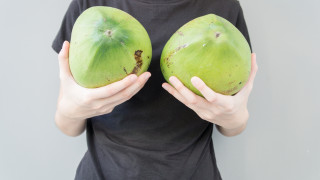 Ани Хокинс Търнър е известна като жената с най големите гърди в