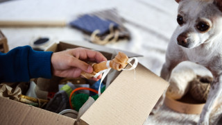 Непрекъснато се увеличават случаите на нелегалното развъждане и нелегалната търговия