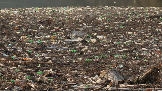 Пускат лодки в плаващото сметище в река Искър съобщава bTV