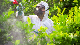 В Швейцария отхвърлиха предложенията за забрана на пестицидите