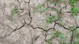 Последните няколко години както и седмици ни показаха че глобалното