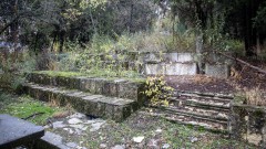 В Стара Загора с микро референдум решават съдбата на 70 дървета