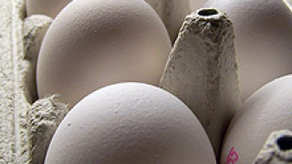 САЩ изтегля милиарди яйца заради салмонела
