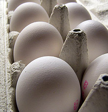 В Германия разследват скандал за измама с кокоши яйца