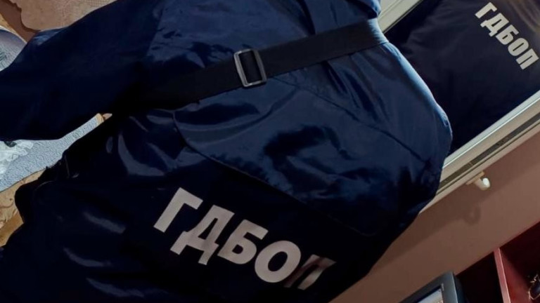 Разследваните за нацистка идеология във Враца набирали хора за терористична група