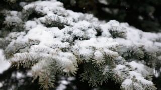 Днес ще преобладава слънчево време Това съобщиха от НИМХ По значителна облачност