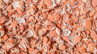 Черупките на яйцата са един от онези хранителни отпадъци които