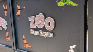 Когато става дума за впечатляващи зоопаркове България трудно може да