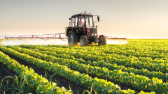 6 милиарда евро: Рекорд в българския износ на селскостопанска продукция
