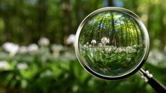 Коя е новата гореща точка на биоразнообразието в света