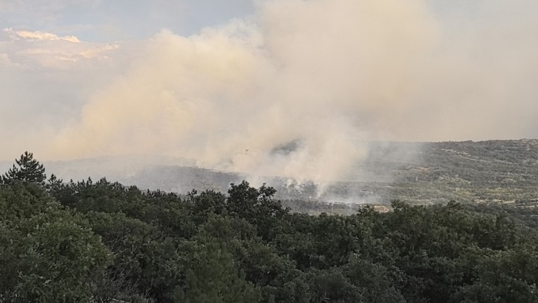 Локализираха горски пожар във Велинград 