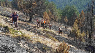 Няма опасност големият пожар в планината Влахина в Северна Македония