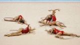 Отлично начало за ансамбъла на Световната купа в София