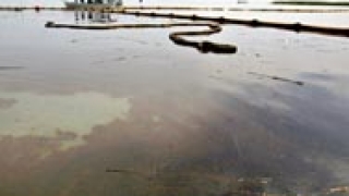 Два плавателни съда се сблъскаха в Мексиканския залив, има разлив на петрол