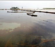 Провал: BP изчистила повърхността, но не и дъното