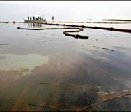 Провал: BP изчистила повърхността, но не и дъното
