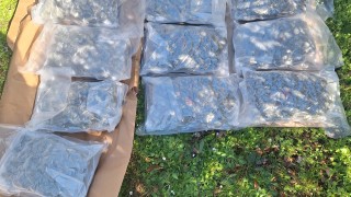 Трима мъже са задържани при спецакция срещу разпространението на наркотици