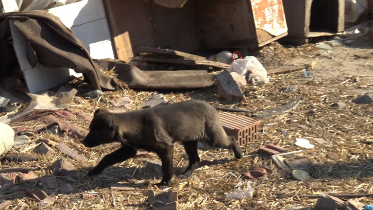 ÐзобÑажение 398962