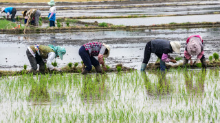 Докато изкуственият интелект преначертава световната икономика икономистите които твърдят че