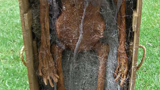 Поляк възкръсна, не го щат жив