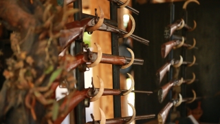 Служители на Регионална дирекция по говите Пловдив са извършили съвместно с