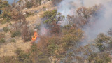 Подозират бракониери за пожара в Рила