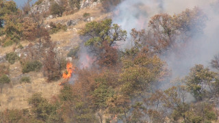Пожар избухна в Сакар между селата Оряхово и Васково в