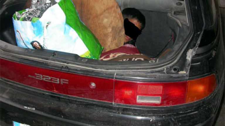 Изображение 99962