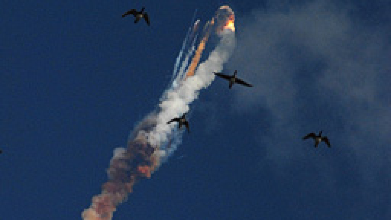 Изображение 110063