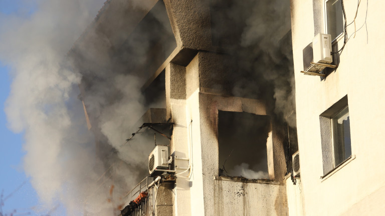 Изображение 600263