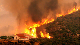 2-ма загинаха, 40 ранени при горски пожар в Турция