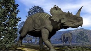 Динозаврите - първата жертва на рака