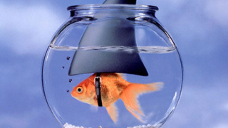 Рекламата забави темпото