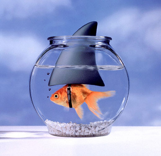 Рекламата забави темпото