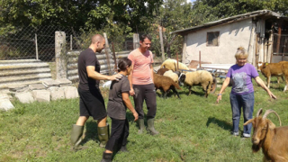 ГЕРБ даряват телета, крави и кози на наводнено село