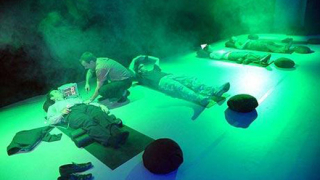 "Най-успокояващата стая в света" е зелена и мирише на лавандула (галерия)