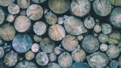 За 3 дни горските са задържали 47,70 незаконни кубически метра дърва 