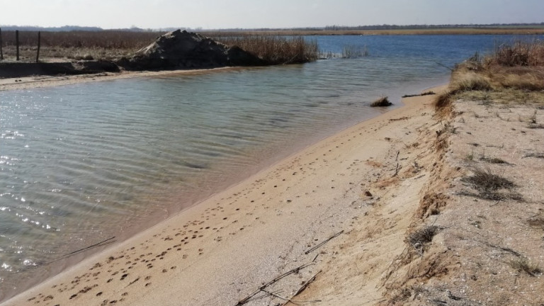 Еколози алармират за драстичен спад на езерата в Шабла и Езерец
