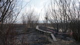 При посещение на Драгоманското блато екоминистарът обследва щетите от възникналия