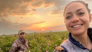 Roseberry: IT, рози, боровинки и големи мечти