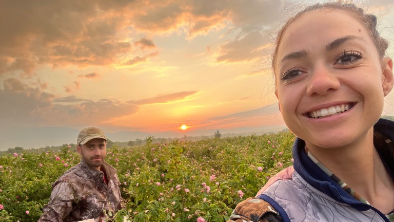 Roseberry: IT, рози, боровинки и големи мечти