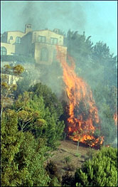 Хаос в Калифорния след пожарите