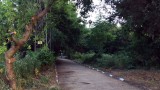 Делата срещу строителната забрана в Бедечка окончателно загубени